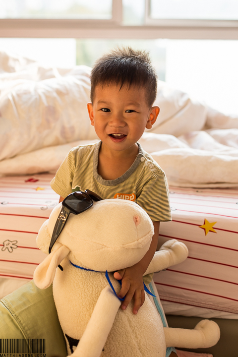 My sheep also needs a shade!