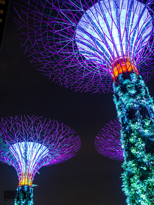 Beautiful supertrees!