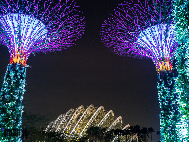 Supertree & Flower Dome!