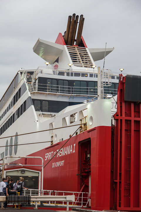 We are going to Tasmania!